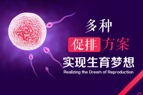 排卵障碍的病因