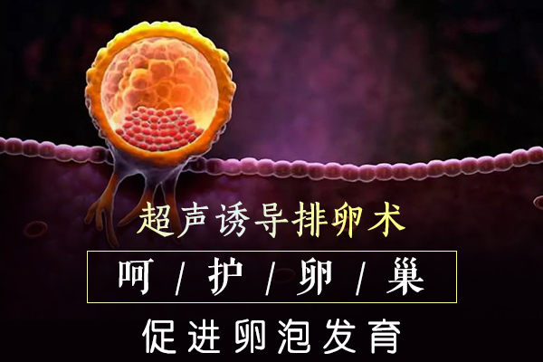 排卵障碍症状是什么